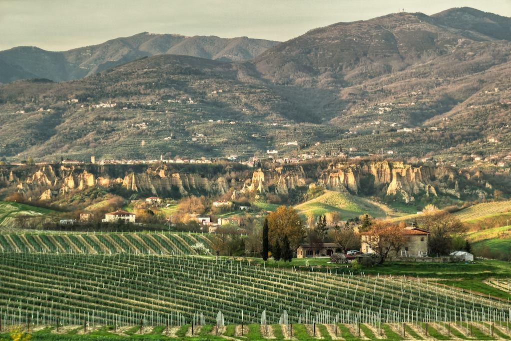 Osteria I'Casolare Hotell San Giovanni Valdarno Exteriör bild